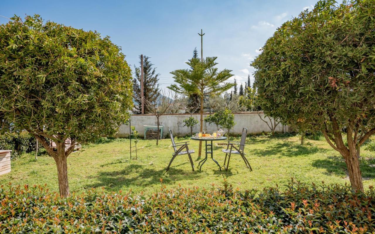 Eleni'S Cozy Apartment In Tsilivi Gaitani Экстерьер фото